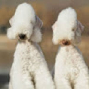 Meet your Posher, Ej